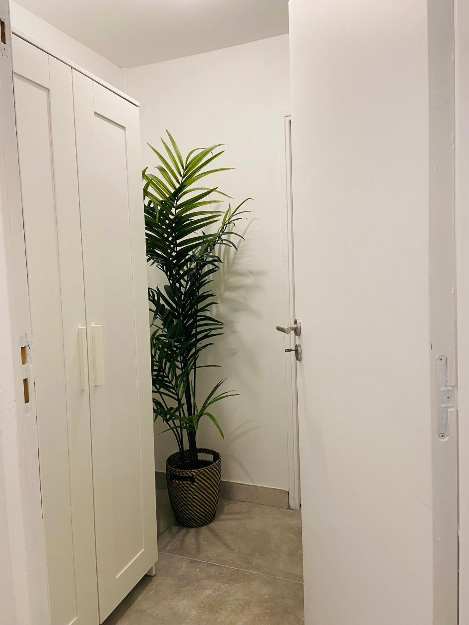 Apartamento Le Baraban Lyon Exterior foto